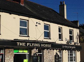 Flying Horse