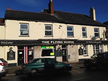 Flying Horse